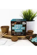 Grow Your Own - Cheeky Monkey Nut Plants